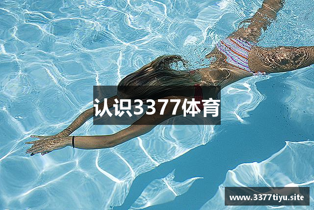 认识3377体育